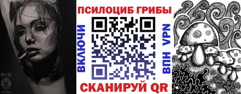 ссылка на мегу ссылка Сосновка Псилоцибиновые грибы Cubensis